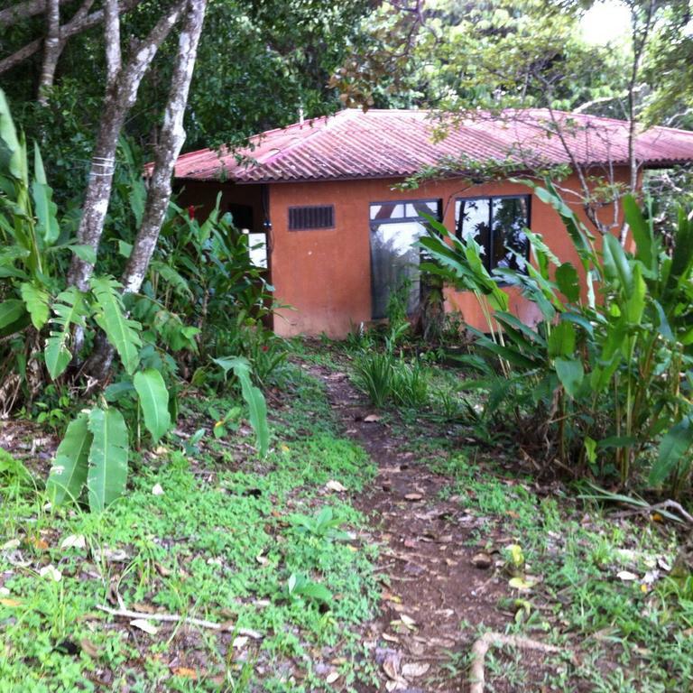 Howlers Bay Hotel Boca Chica Ngoại thất bức ảnh